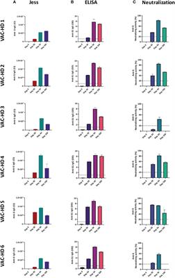 Persistence of spike-specific immune responses in BNT162b2-vaccinated donors and generation of rapid ex-vivo T cells expansion protocol for adoptive immunotherapy: A pilot study